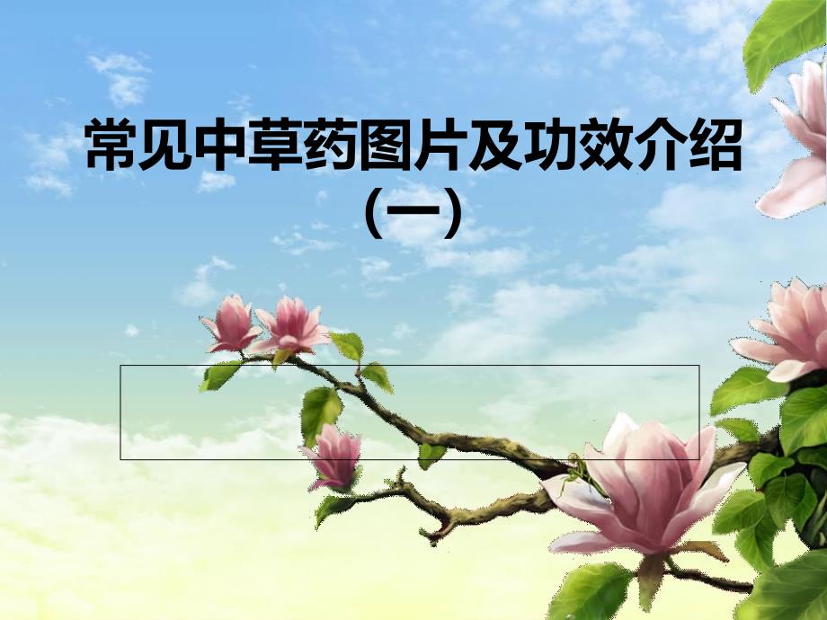 常见中草药图片及功效介绍_第1页