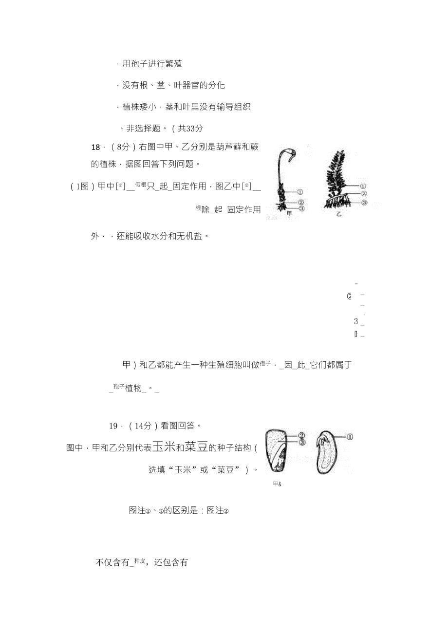 《生物圈中有哪些绿色植物》测试卷答案_第5页