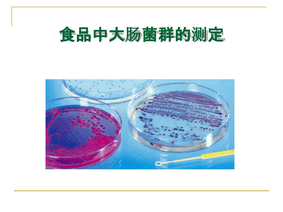 2.大肠菌群.ppt课件_第1页