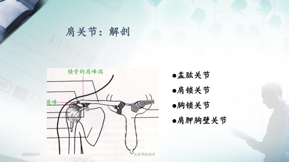 大关节松动术精选PPT干货_第2页