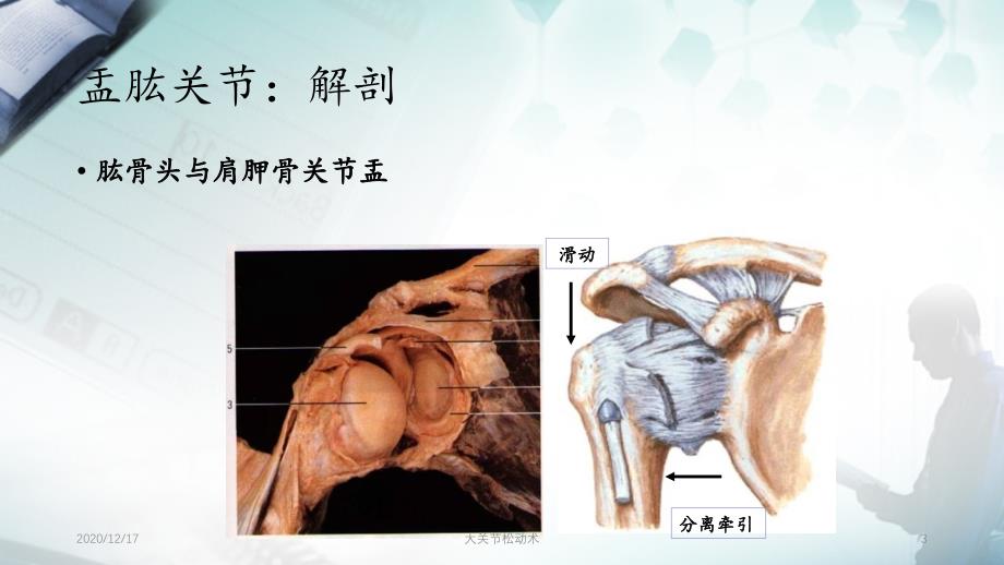 大关节松动术精选PPT干货_第3页