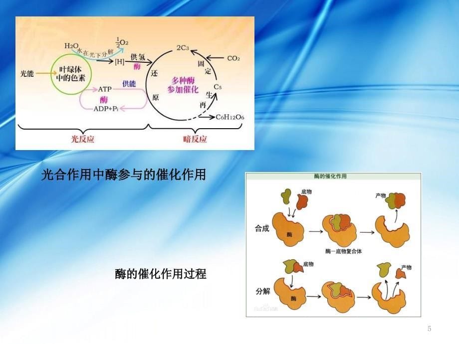 电催化原理及应用ppt课件_第5页