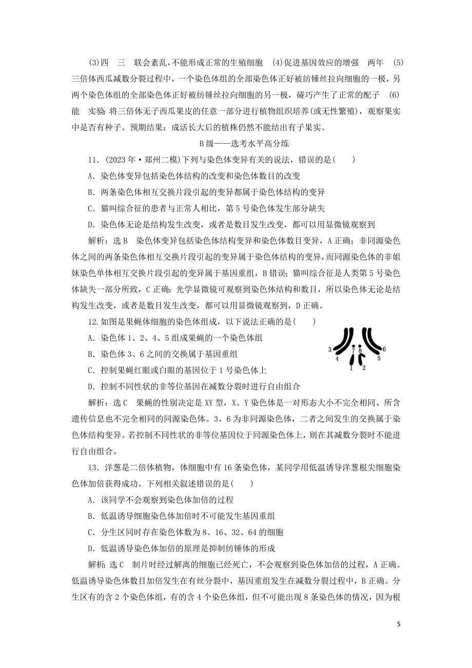 2023学年新教材高中生物课时双测过关十五染色体变异（人教版）必修2.doc_第5页