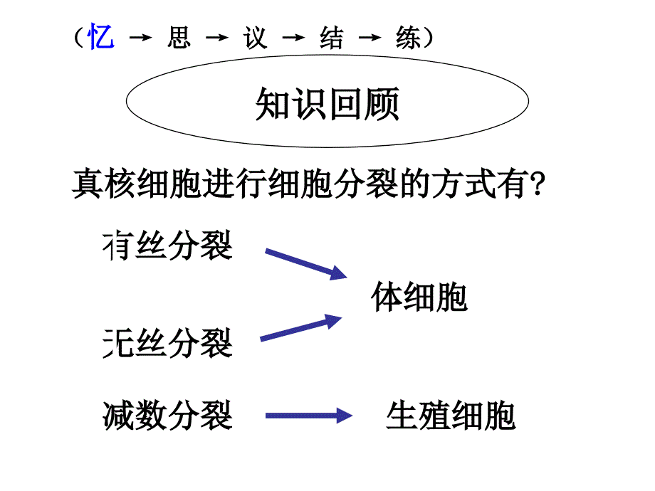 生物必修二第二章第一节_第4页