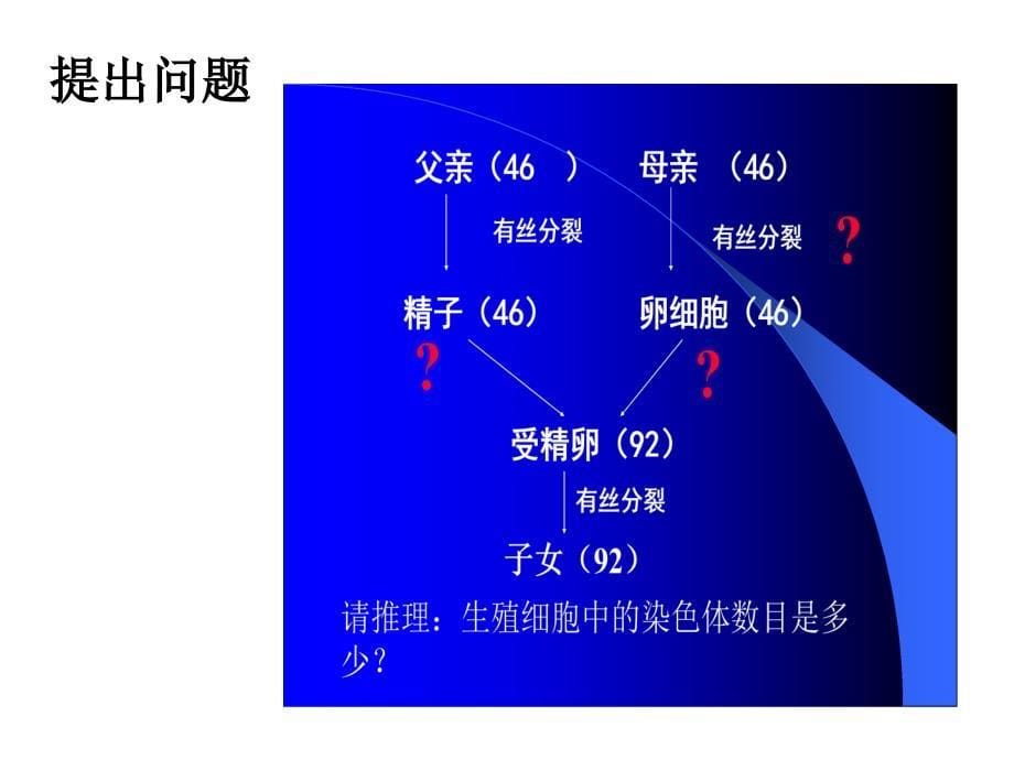 生物必修二第二章第一节_第5页