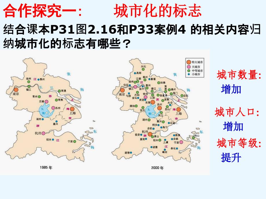 23城市化（演示）_第5页