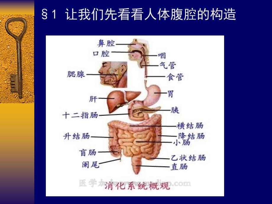 急性腹痛诊断与治疗_第4页