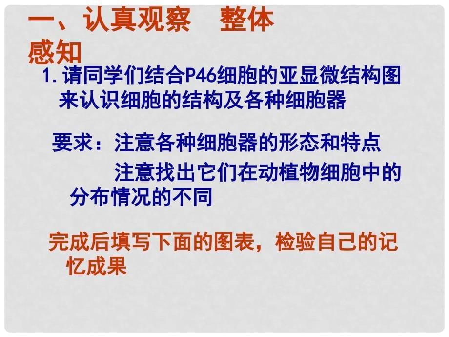 河北省石家庄第十五中学高二生物 系统内的分工合作细胞器课件_第5页