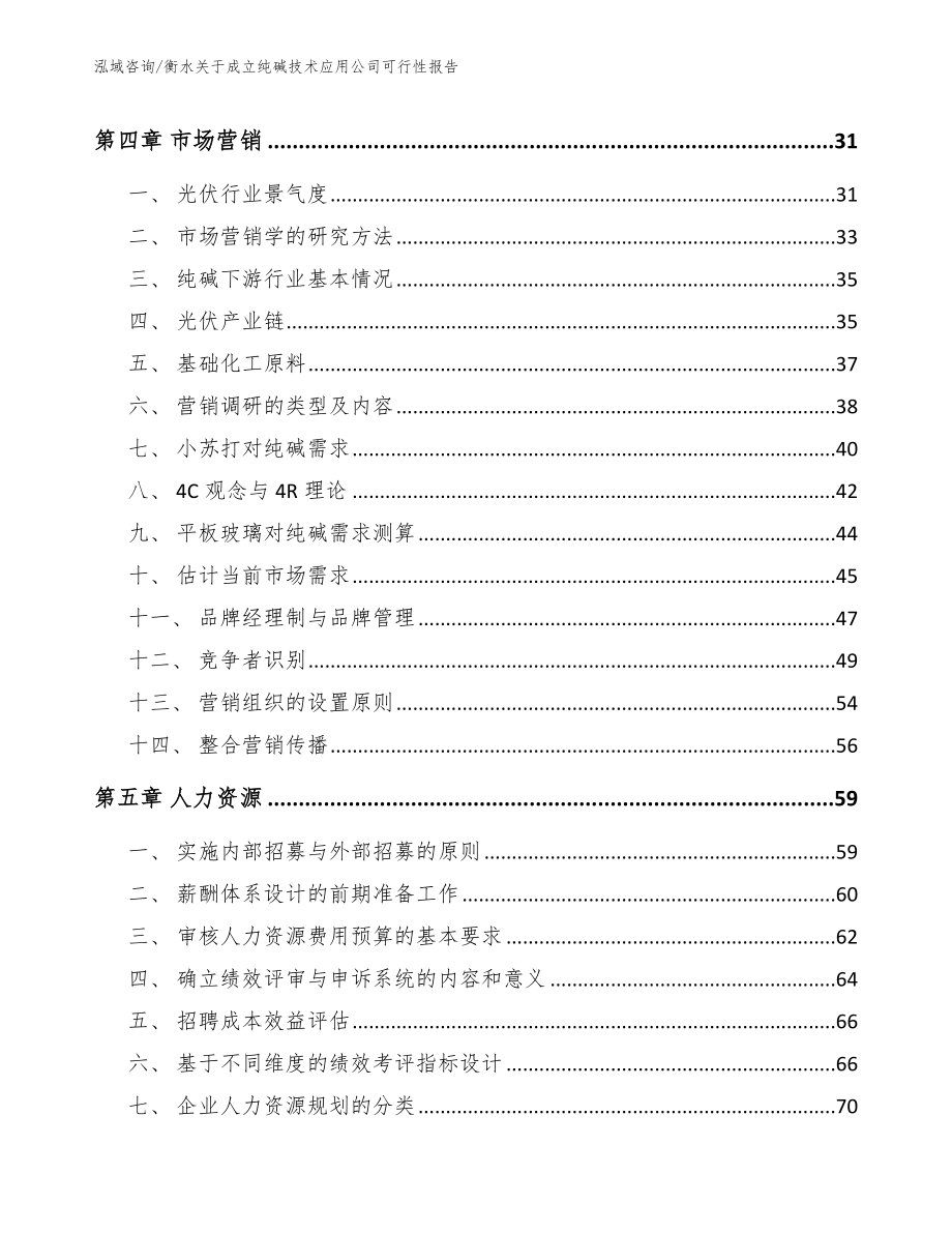 衡水关于成立纯碱技术应用公司可行性报告_模板范文_第2页