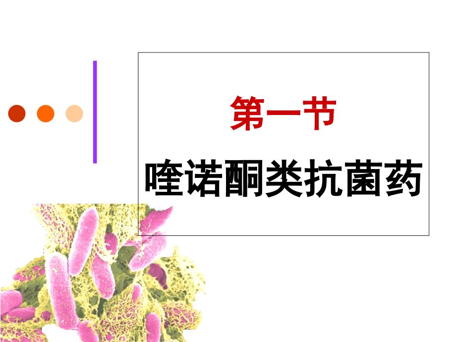 yl人工合成抗菌药_第3页