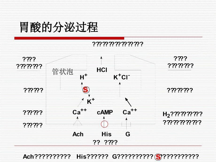 药物化学第七版第五章_第5页