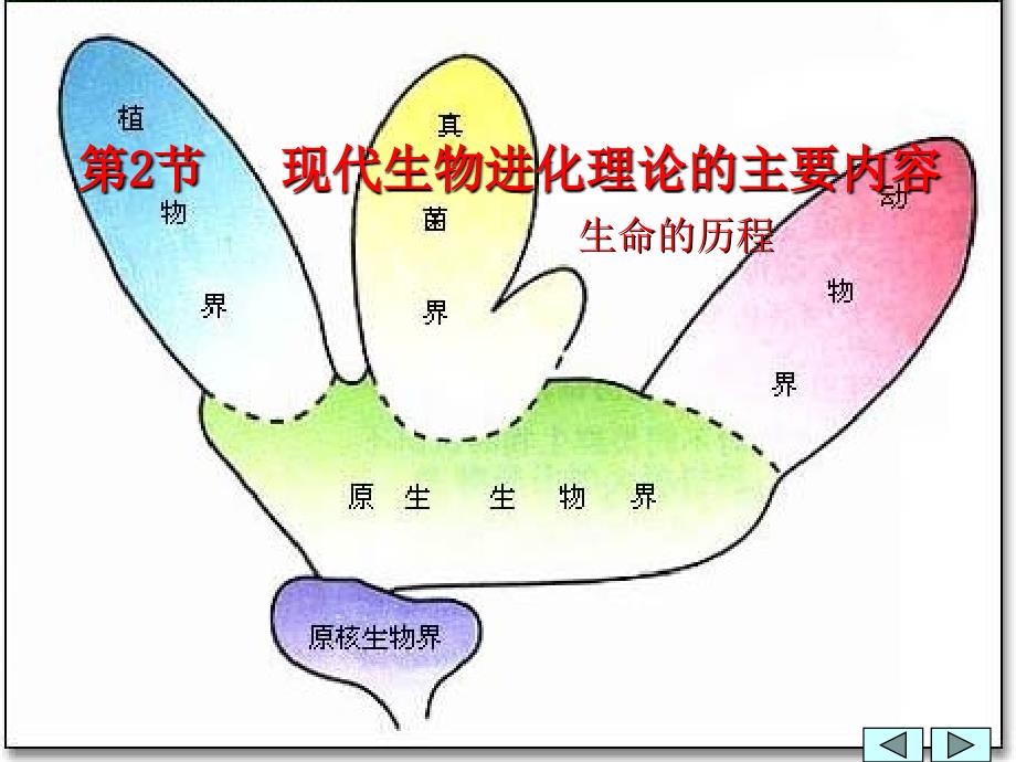 高中生物：7.2《现代生物进化理论的主要内容》课件（1）（新人教版必修2）_第1页