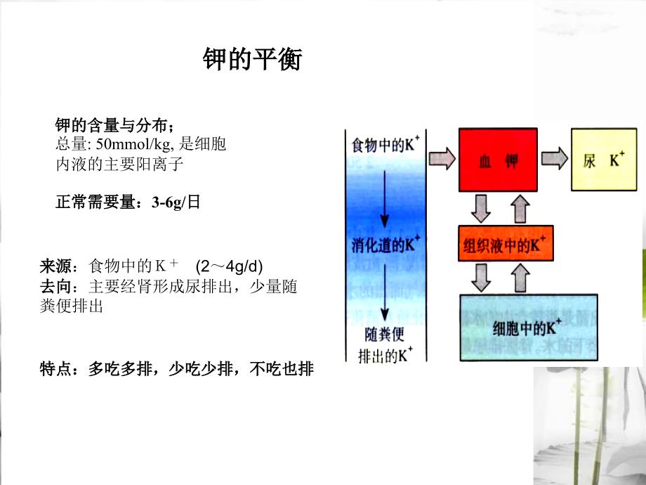 危重病人补液课件_第4页