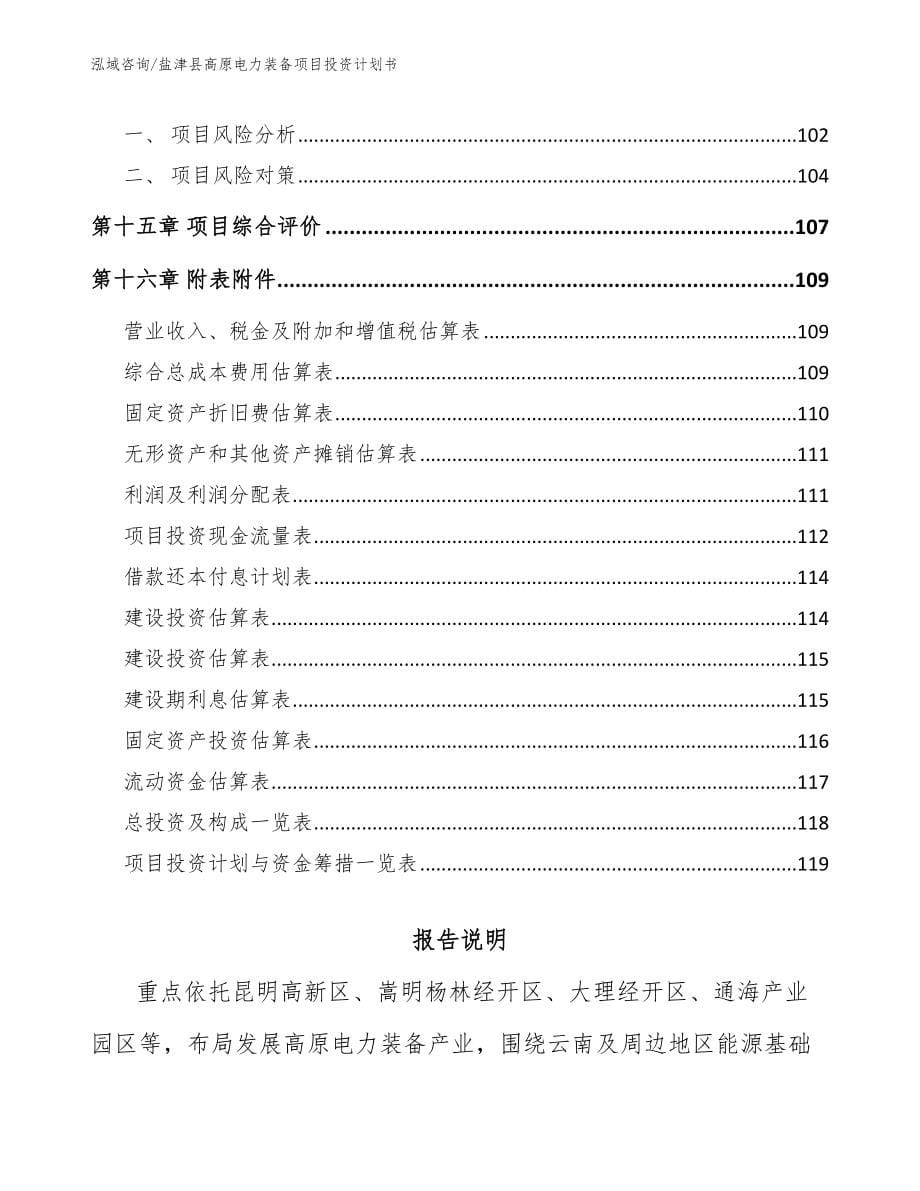 盐津县高原电力装备项目投资计划书_参考模板_第5页