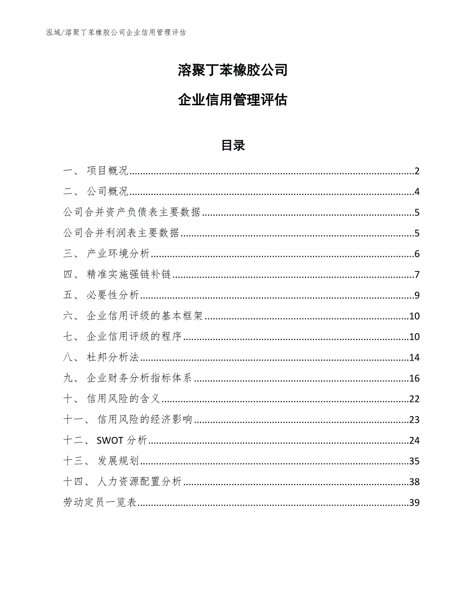 溶聚丁苯橡胶公司企业信用管理评估_参考_第1页