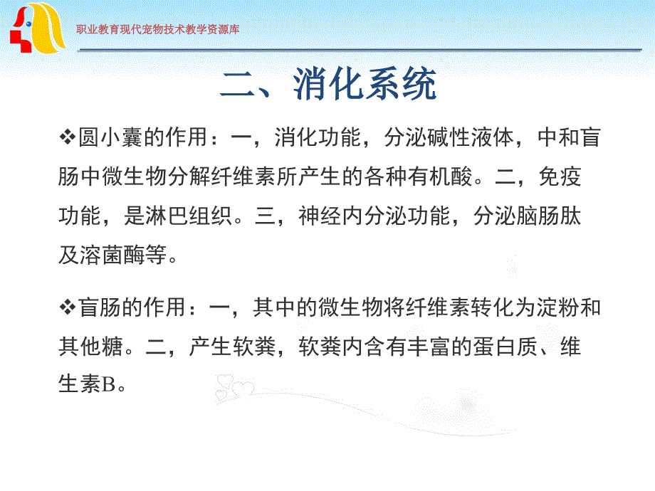 兔的生物学特性PPT课件_第4页