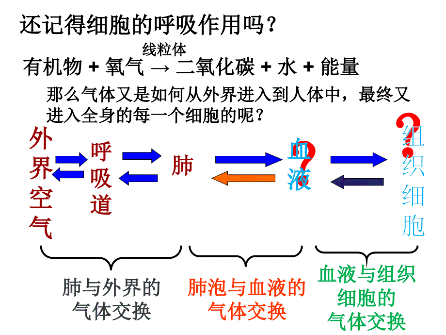 发生在肺内的气体交换课件_第2页