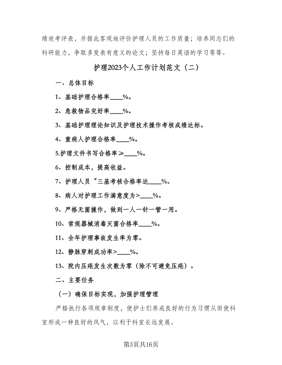 护理2023个人工作计划范文（6篇）.doc_第3页