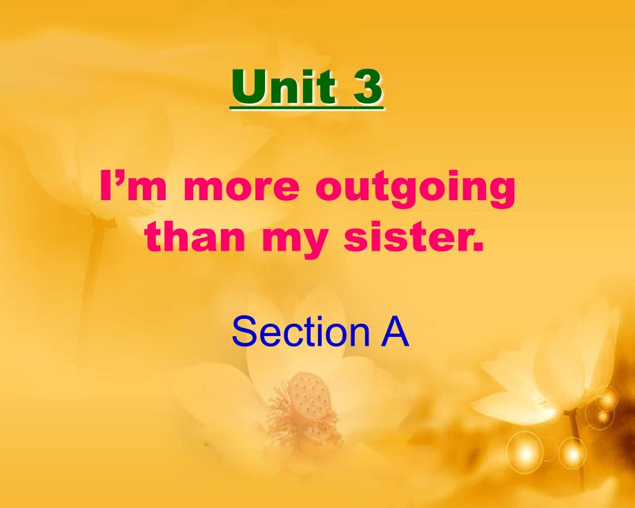 2013年人教版新目标八年级上Unit3_I’m_more_outgoing_than_my_sister_Section_A课件_第1页