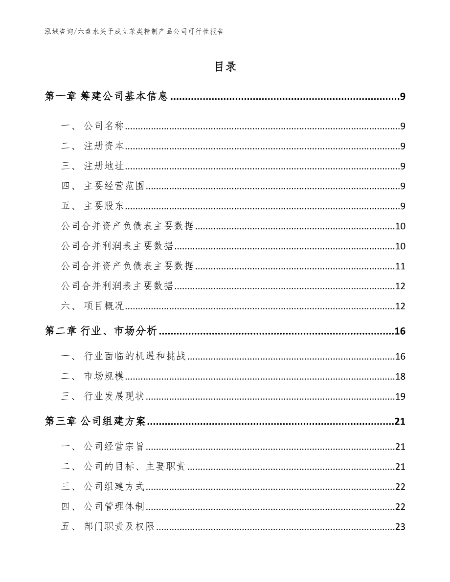 六盘水关于成立苯类精制产品公司可行性报告（参考范文）_第2页