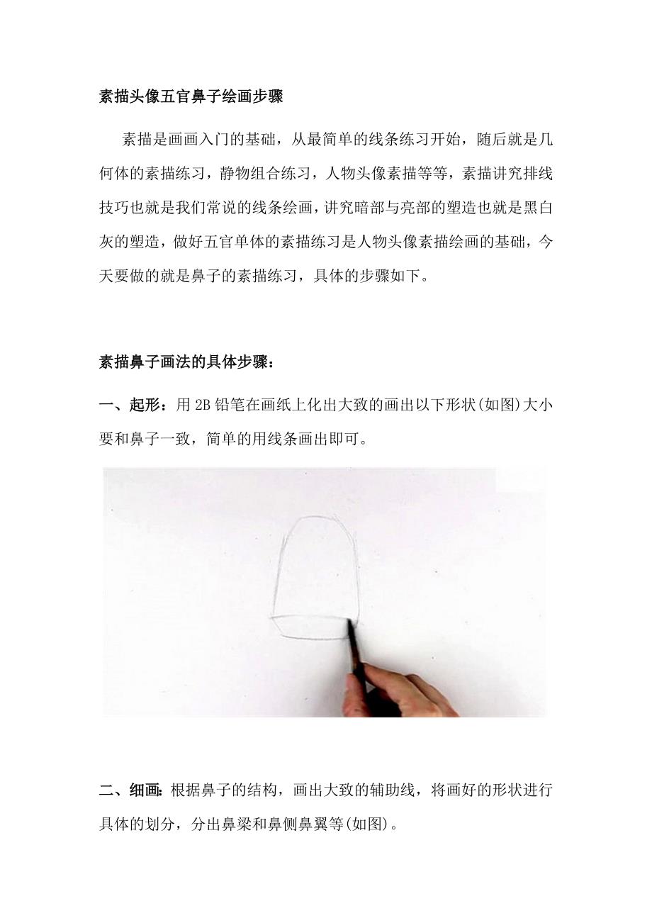 (精品)素描头像五官鼻子绘画步骤.doc_第1页