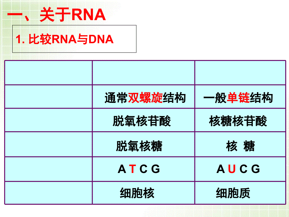 一轮复习基因表达_第4页