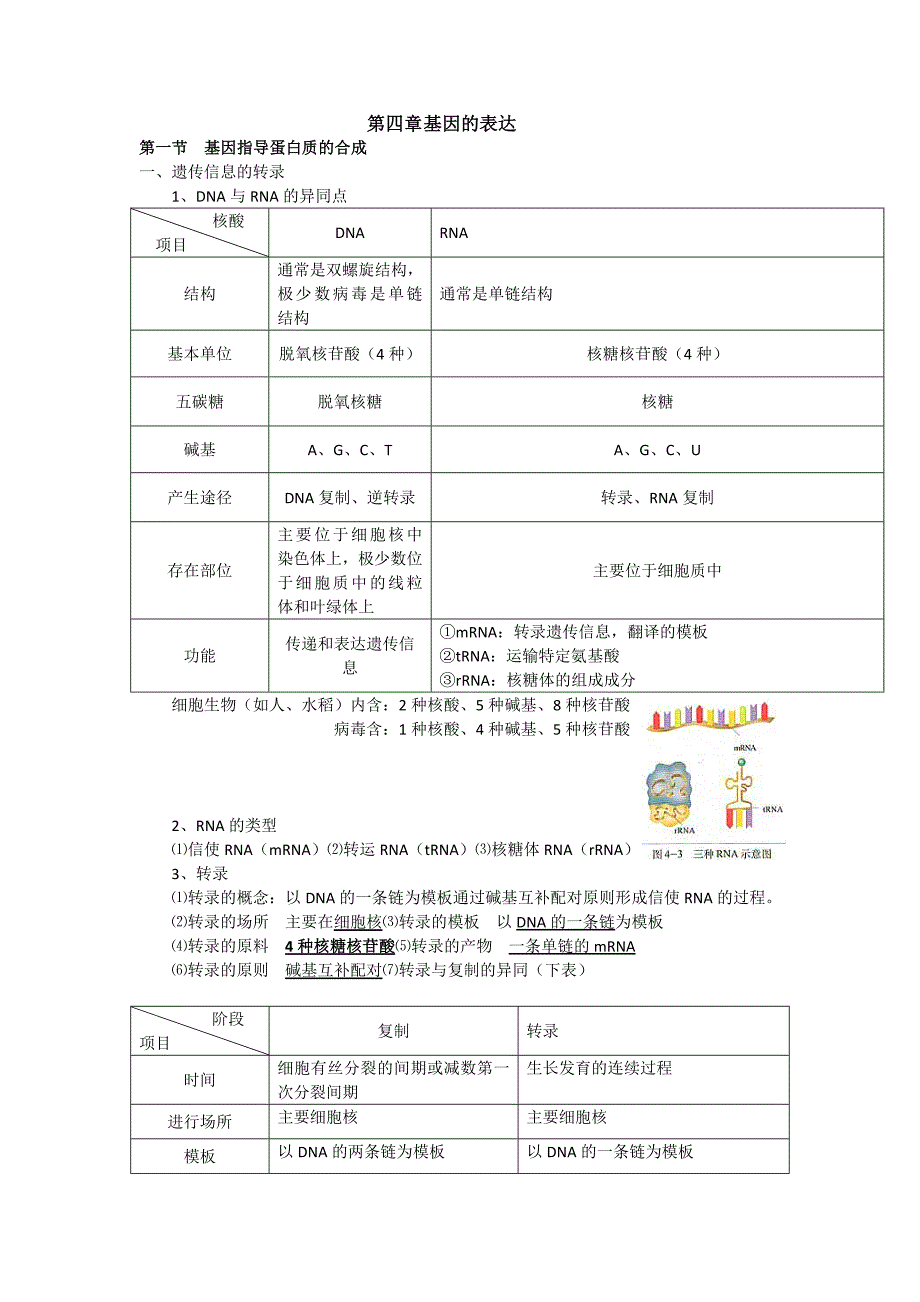 必修2 第4章 基因的表达.doc_第1页