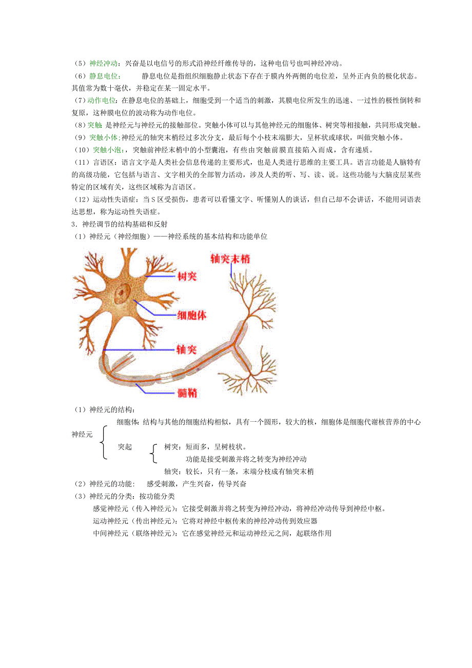 必修3课题二 动物和人体生命活动的调节.doc_第2页