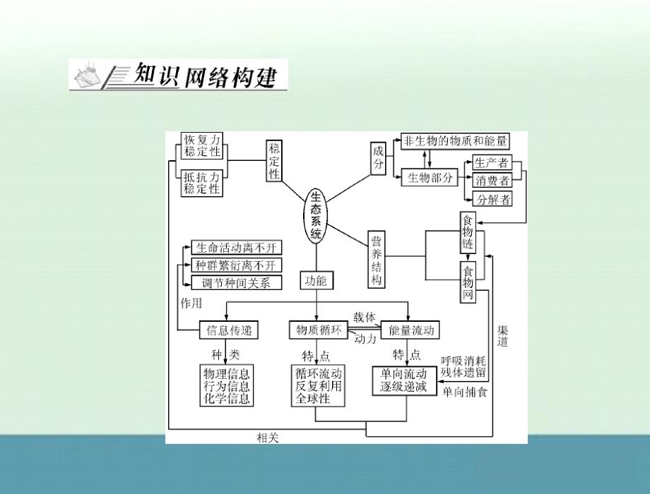 高考生物一轮复习必修3配套课件：第5章章末知识提升（人教版）_第2页