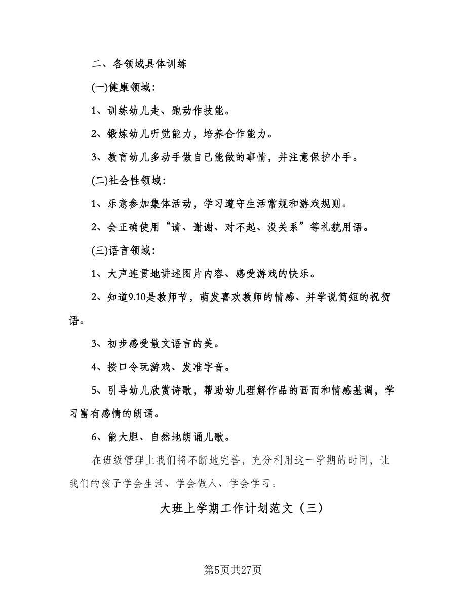 大班上学期工作计划范文（七篇）.doc_第5页