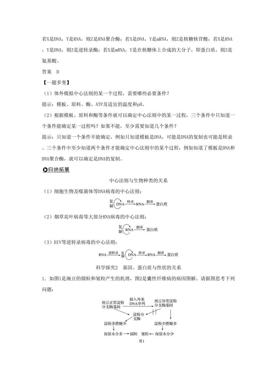 高中生物第4章基因的表达第2节基因对性状的控制学案新人教版(DOC 18页)_第5页