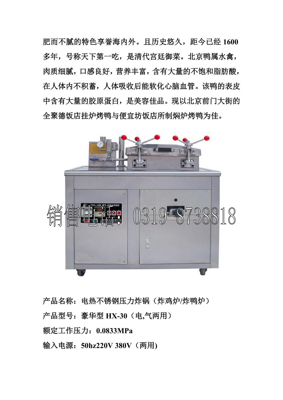 烤鸭炉电气两用炸鸭炉_第3页