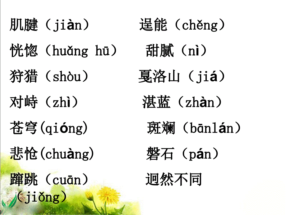 《马》参考课件3_第1页