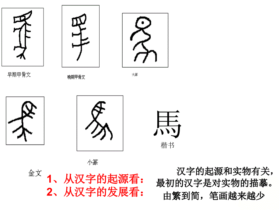 《马》参考课件3_第2页