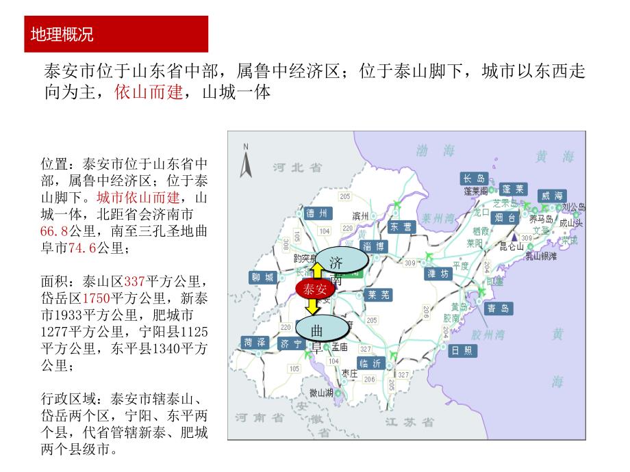 山东泰安新华街商业项目市场调研报告前期策划_第4页