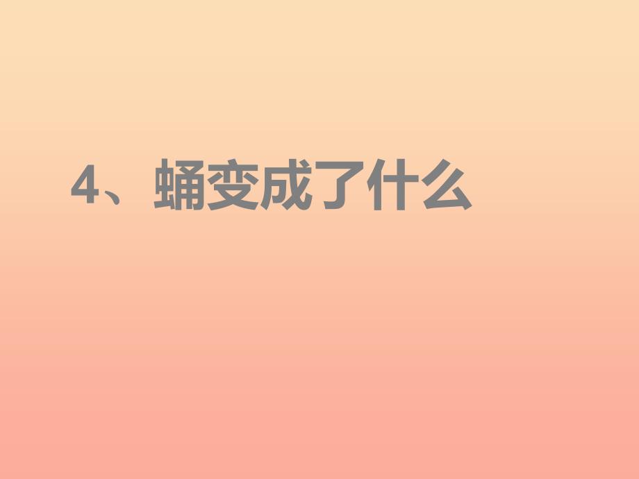 三年级科学下册动物的生命周期4蛹变成了什么课件3教科版_第1页