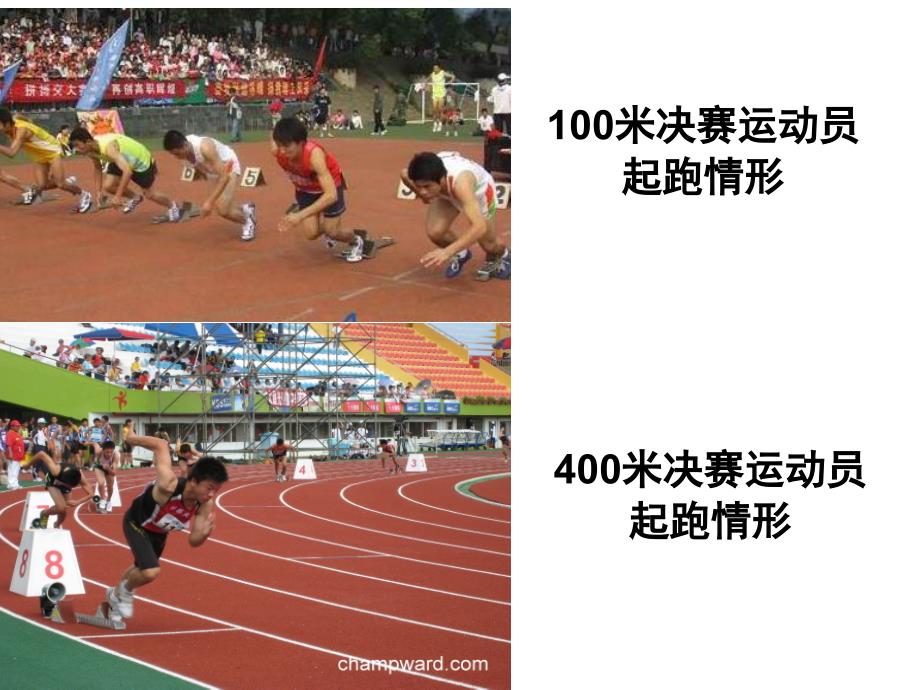第四单元确定起跑线_第1页