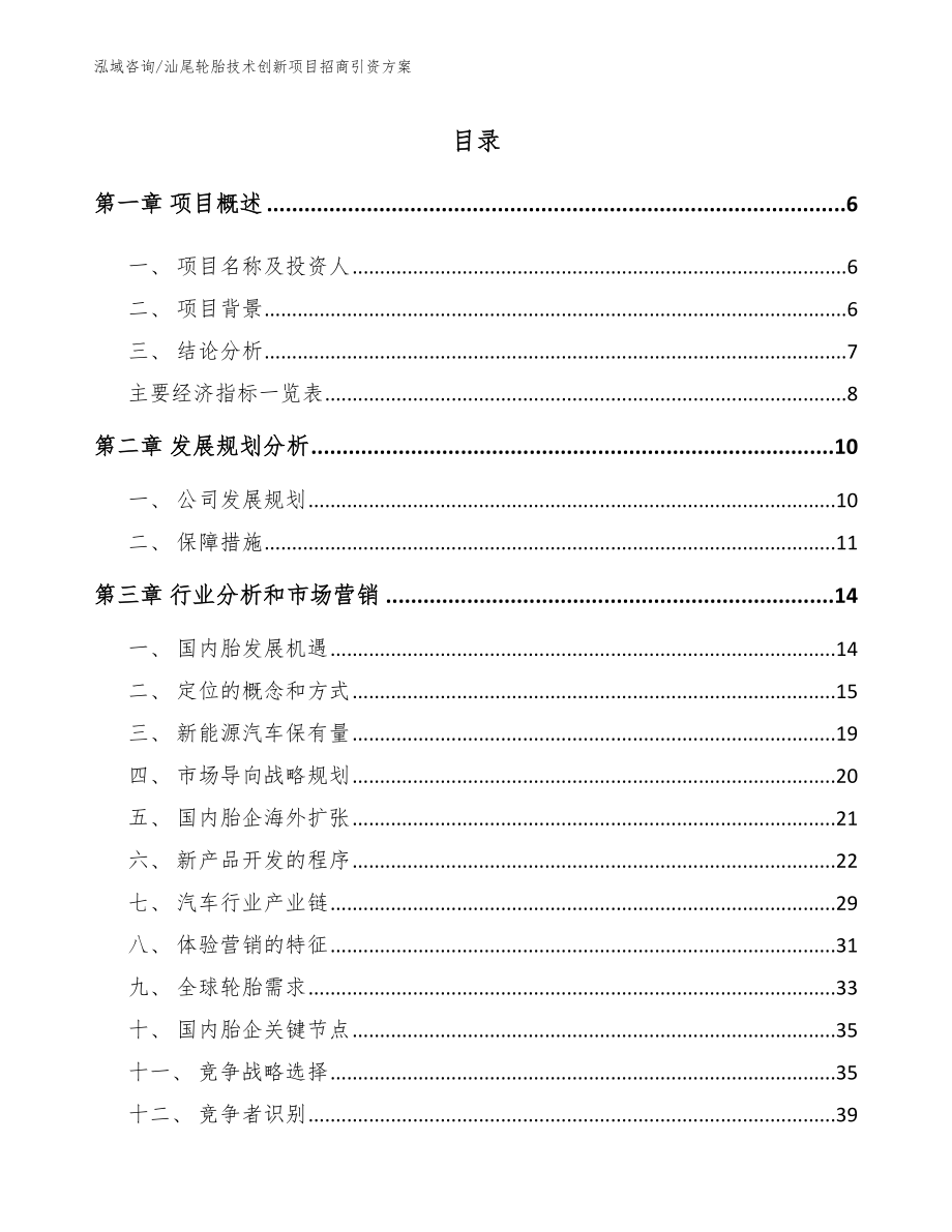 汕尾轮胎技术创新项目招商引资方案（范文模板）_第2页