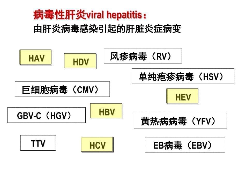 医学微生物学课件：肝炎病毒_第5页