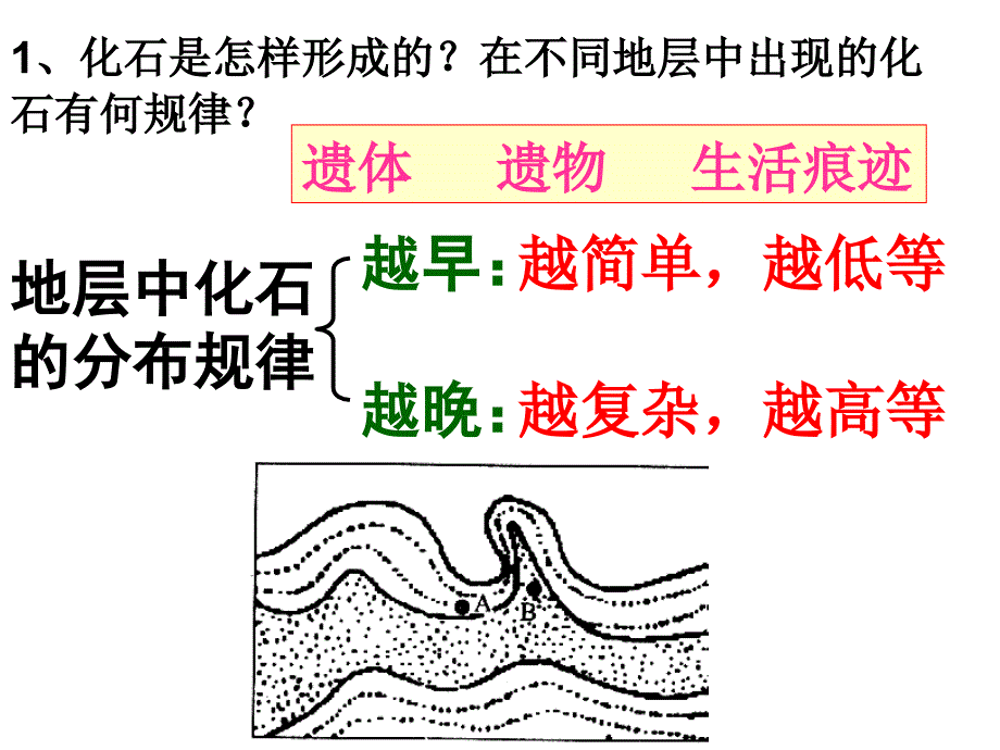 生物进化的历程和原因_第3页