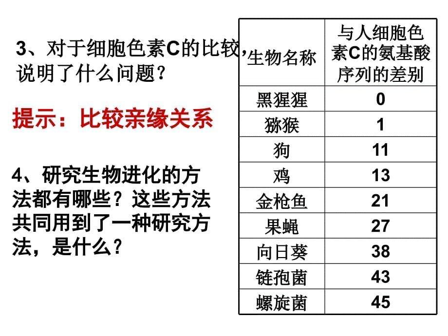 生物进化的历程和原因_第5页