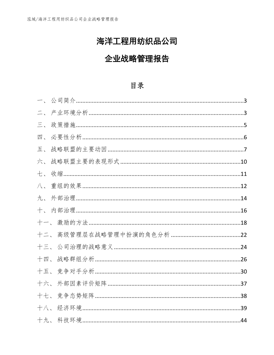 海洋工程用纺织品公司企业战略管理报告_第1页