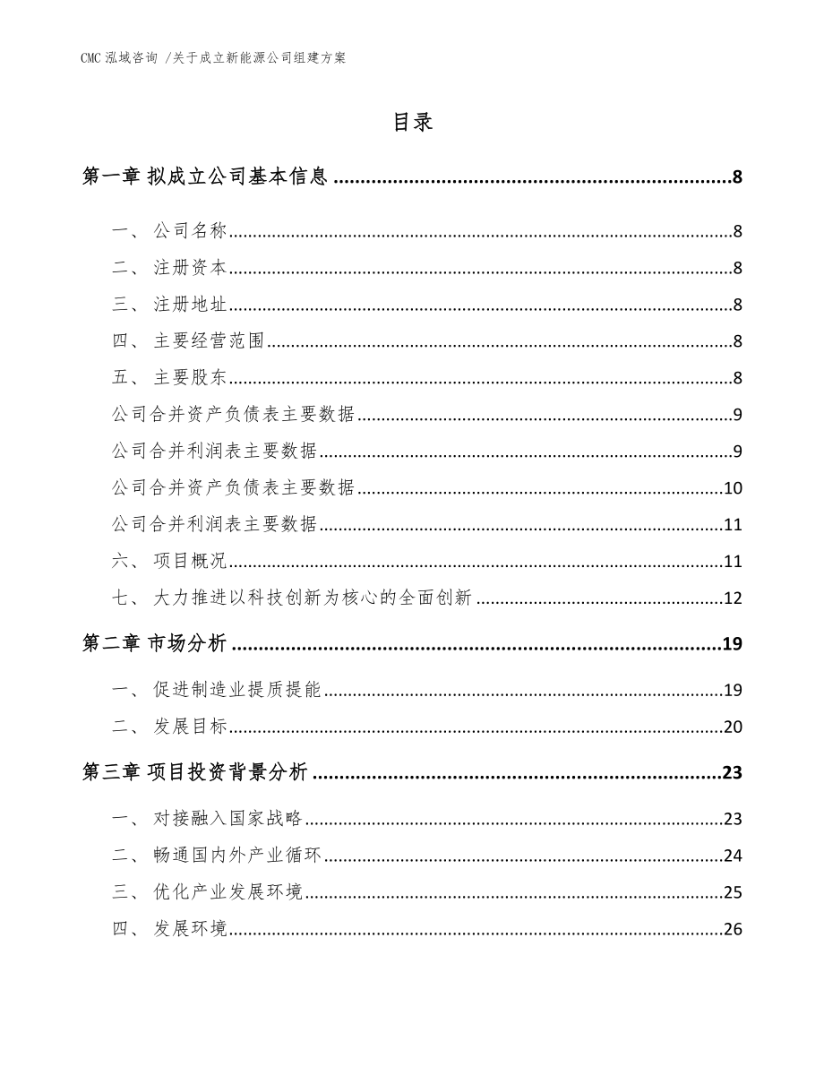 关于成立新能源公司组建方案范文_第2页