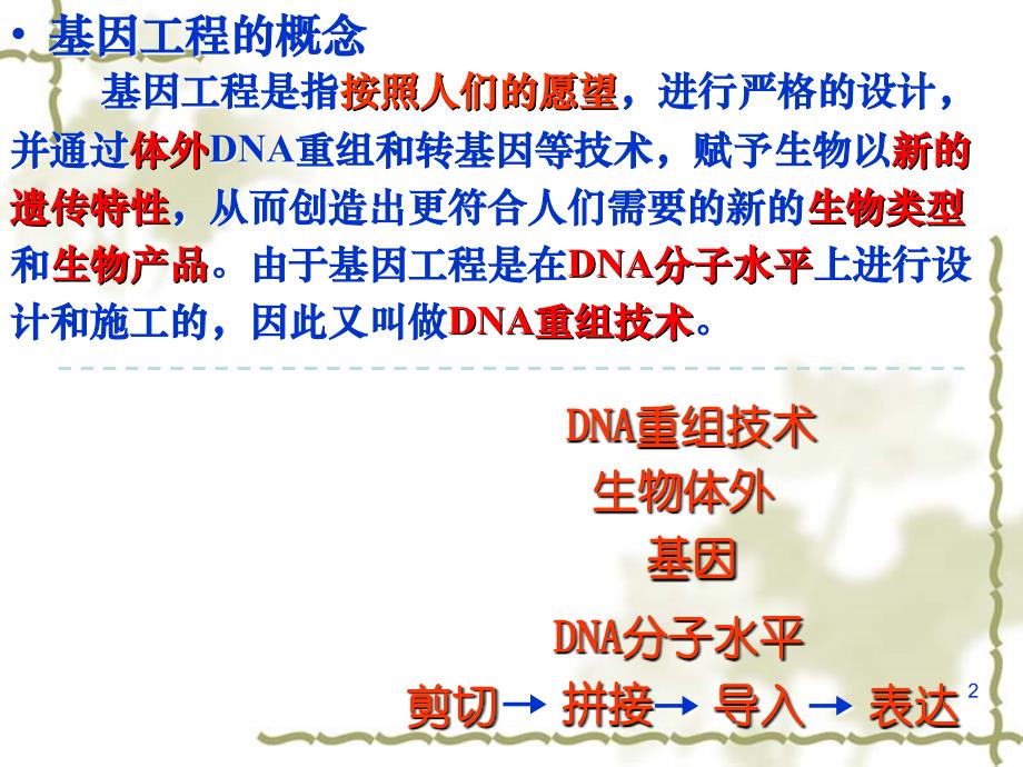 DNA重组的基本工具_第2页