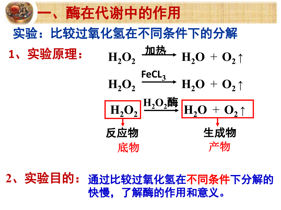 51降低化学反应活化能的酶第1课时_第4页