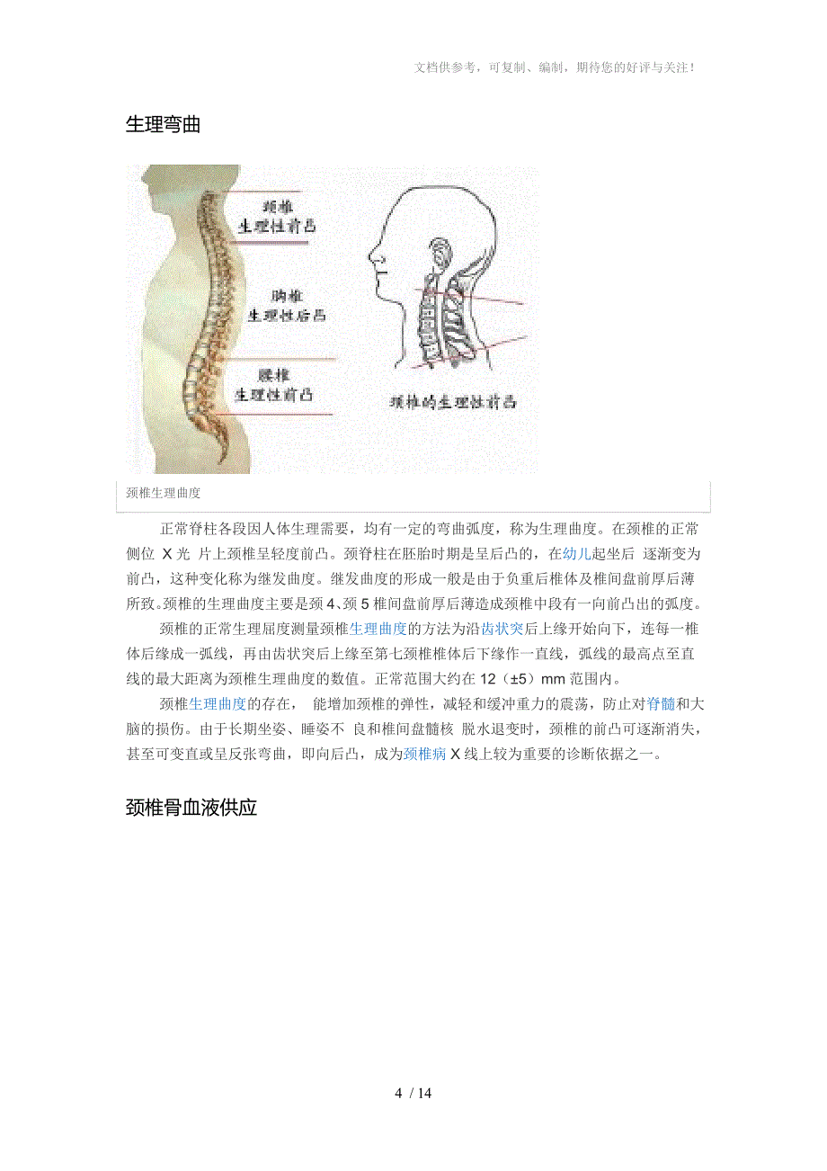 颈椎病的生理和解剖_第4页