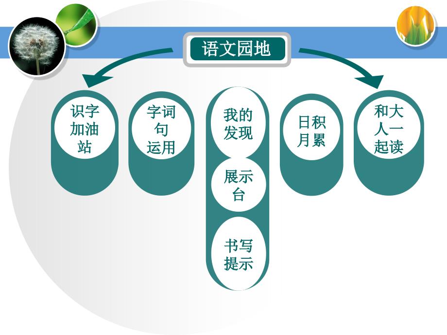 省统编教材培训袁树霞（园地）_第4页