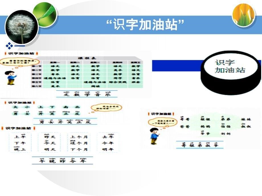 省统编教材培训袁树霞（园地）_第5页