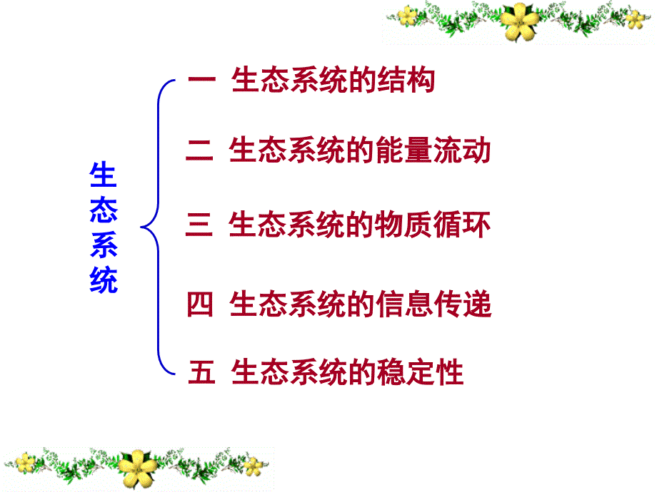 5.5生态系统的稳定性课件王卉_第2页