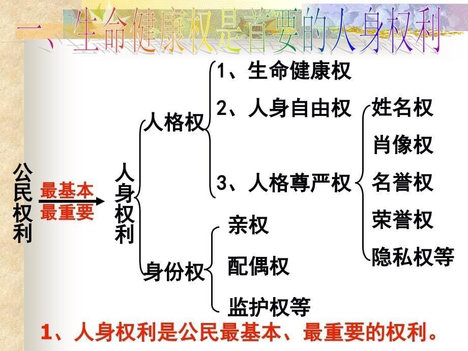 人教版八年级下第二单元第三课生命与健康的权利（共32张PPT）_第5页